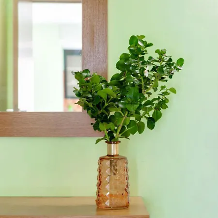 Verdemare Apartment